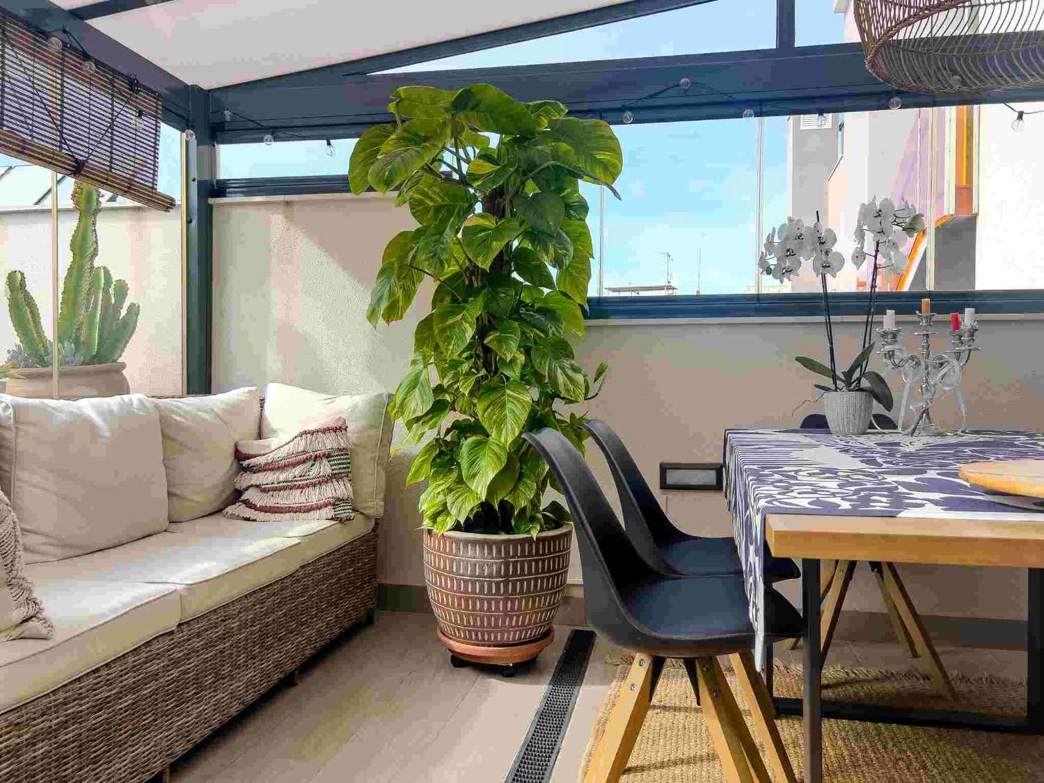Penthouse na sprzedaż w Torrevieja