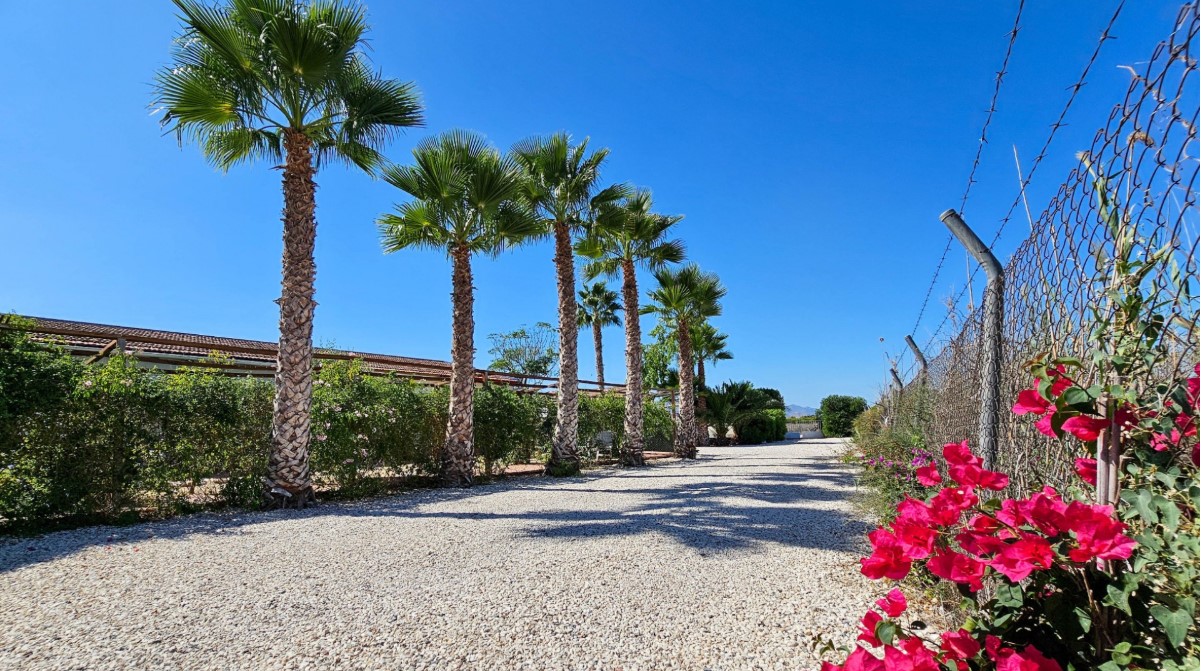 FANTASTISKT HUS PÅ LANDET MED CASITA, POOL OCH 33 000 M² MARK PÅ COSTA BLANCA