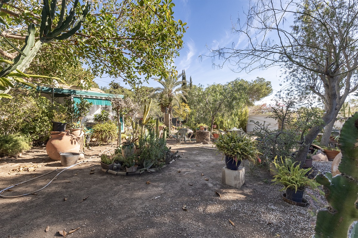 LOMAS DE CABO ROIG 的独家机会 – 1.250 平方米的地块，潜力巨大！