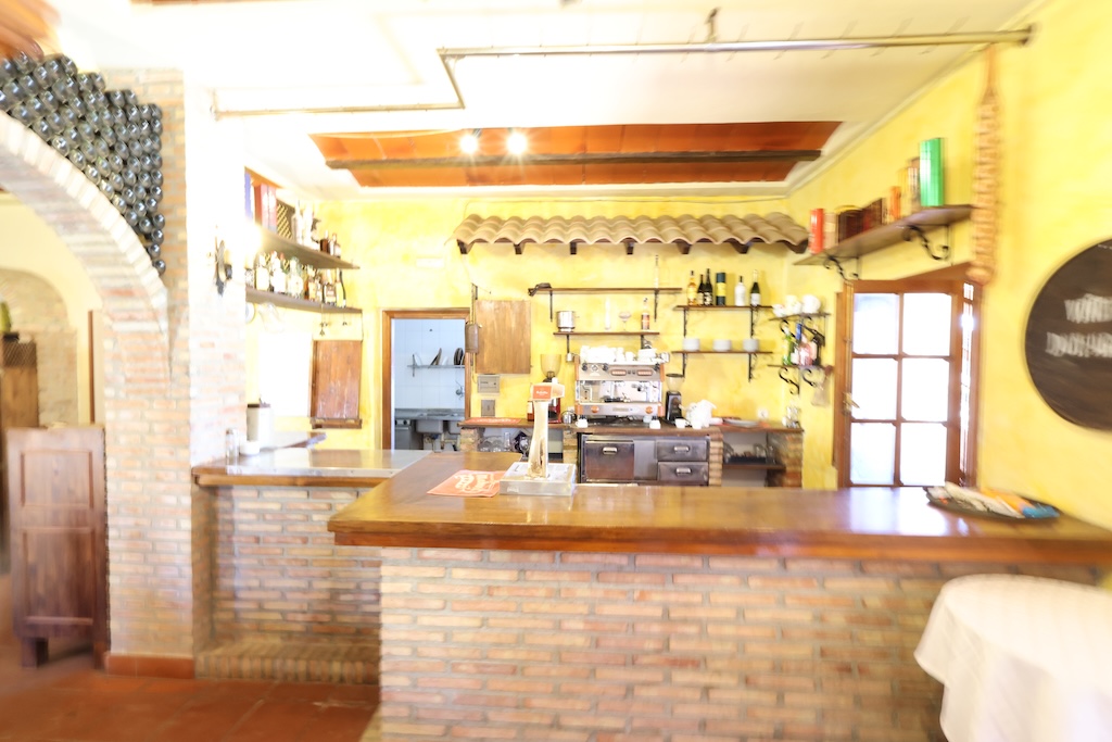 UNIQUE OPPORTUNITY IN LA ZENIA: PROPERTY WITH BUSINESS AND LARGE PLOT