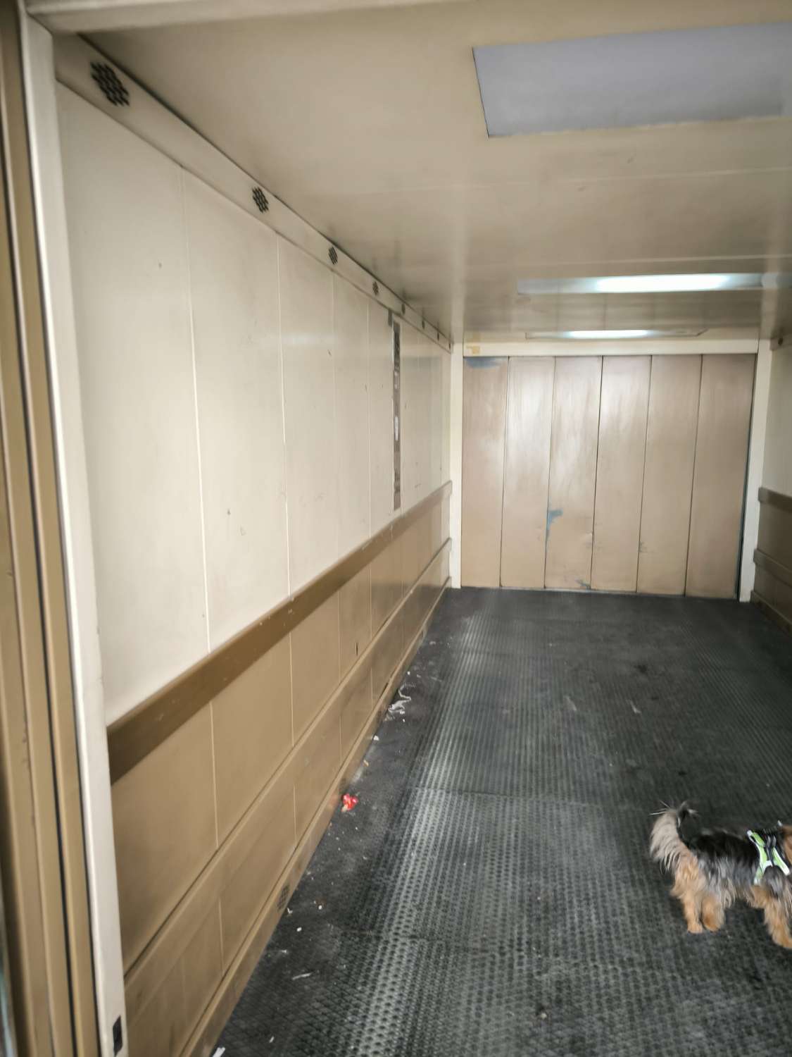 APARTAMENTO CÉNTRICO CON GARAJE, PISCINA Y TRASTERO EN TORREVIEJA