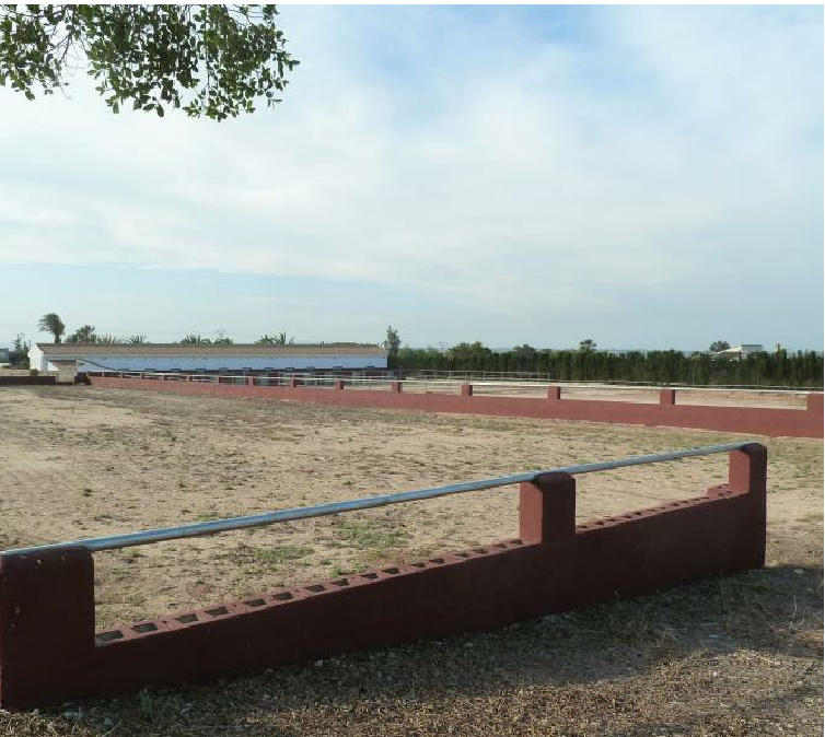 SAN MIGUEL DE SALINAS 的质朴印加 – 10,006 平方米的全围栏地块