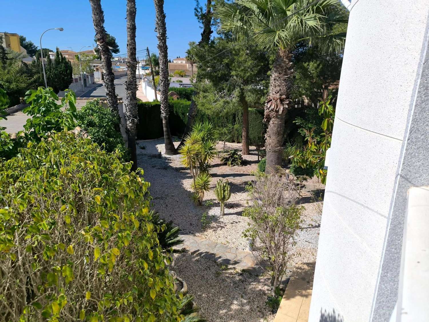 فيلا عائلية مذهلة مع حديقة شبه استوائية ومسبح خاص في لا سييستا – TORREVIEJA