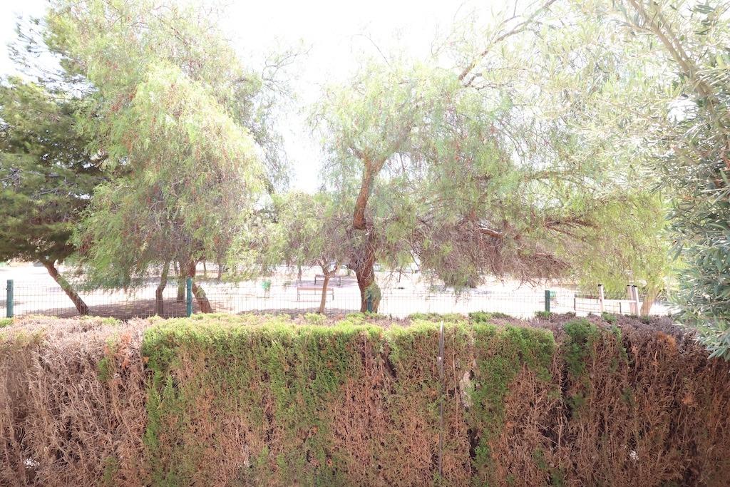 BUNGALOW EN PLANTA BAJA CON JARDÍN PRIVADO EN ZENIA MAR VII FRENTE A ZONA VERDE