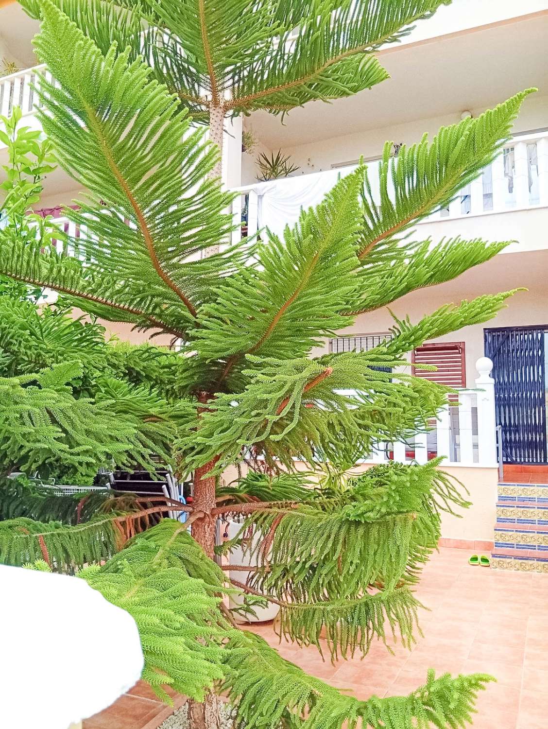 BUNGALOW DE 2 DORMITORIOS CON JARDÍN PRIVADO EN LOMAS DE CABO ROIG