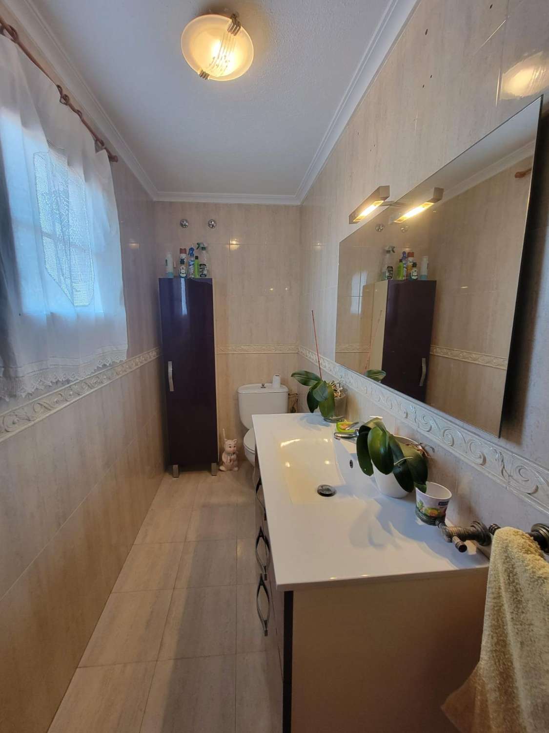 宽敞的乡村别墅，设有花园、游泳池和客用公寓