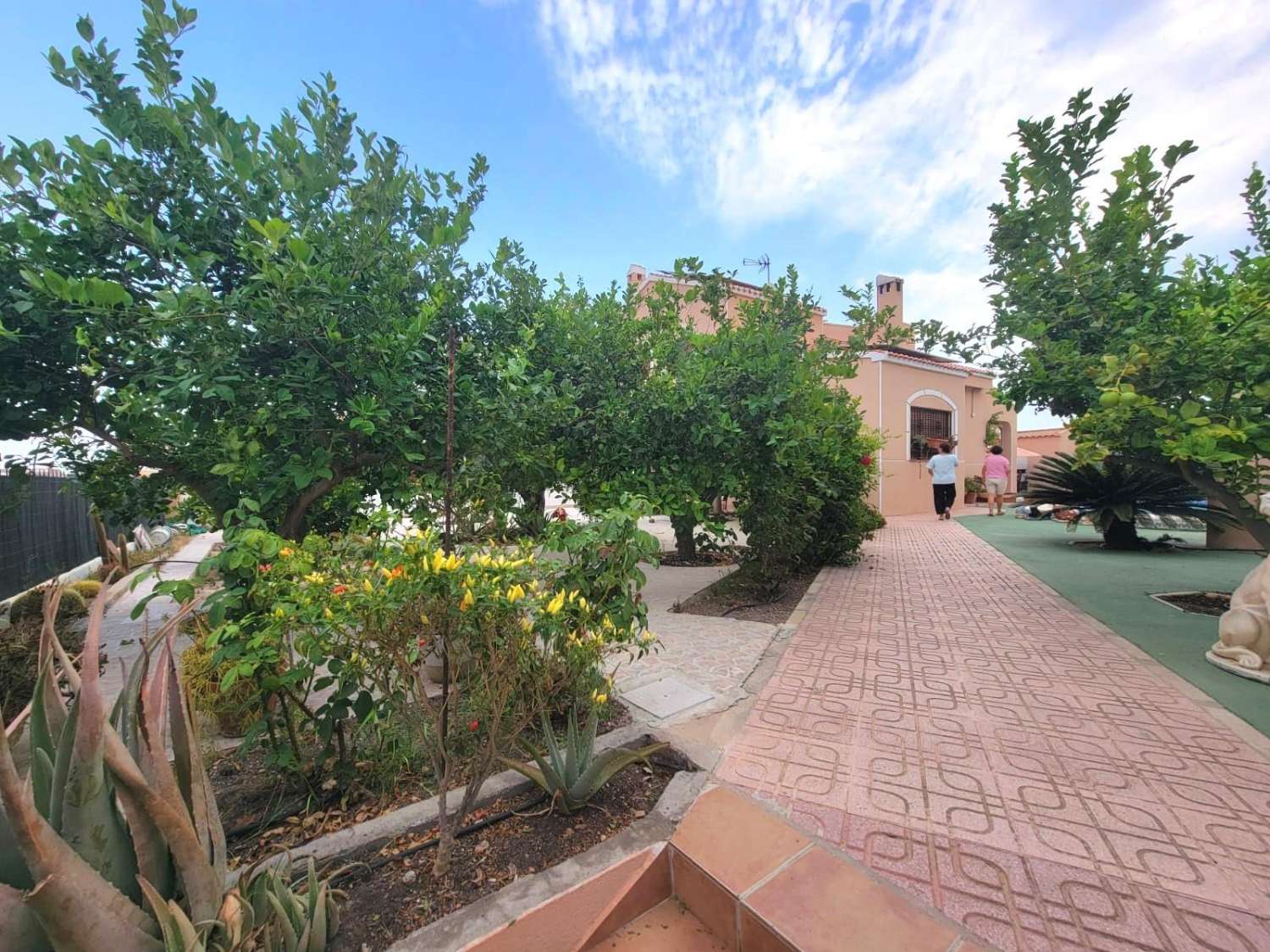 宽敞的乡村别墅，设有花园、游泳池和客用公寓