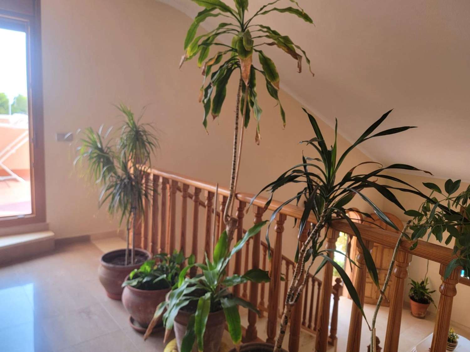 宽敞的乡村别墅，设有花园、游泳池和客用公寓