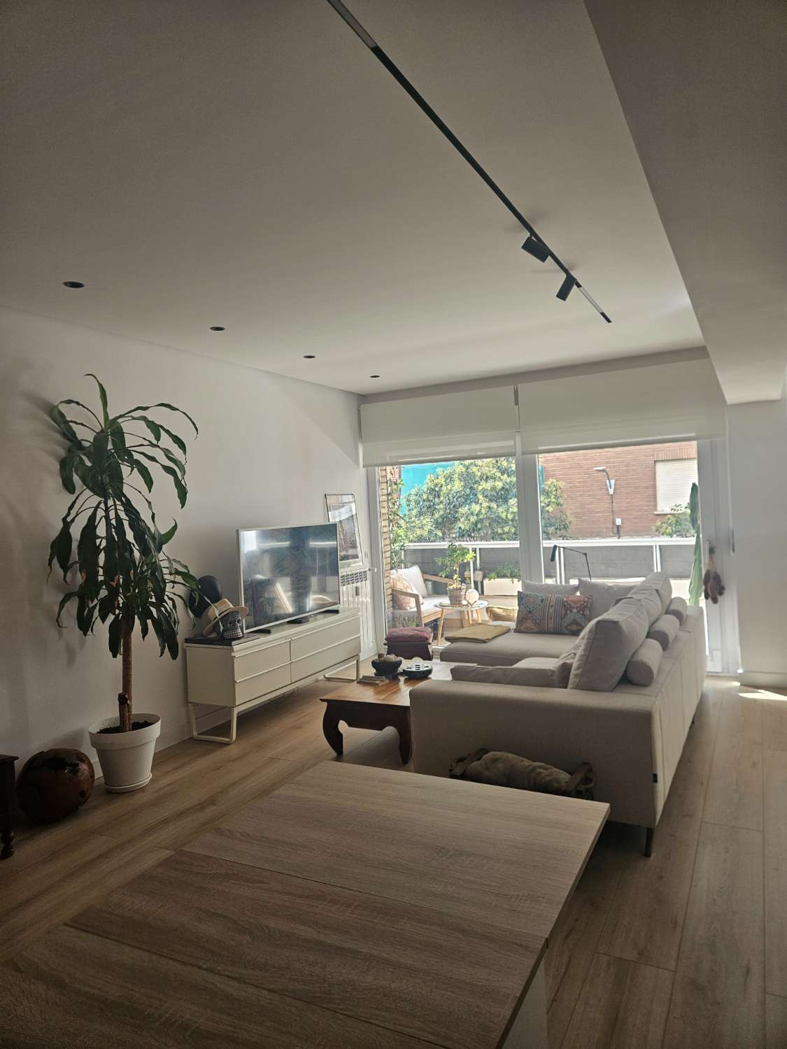 SPACIOUS, NEWLY RENOVATED APARTMENT WITH TWO INDEPENDENT APARTMENTS ON ONE FLOOR