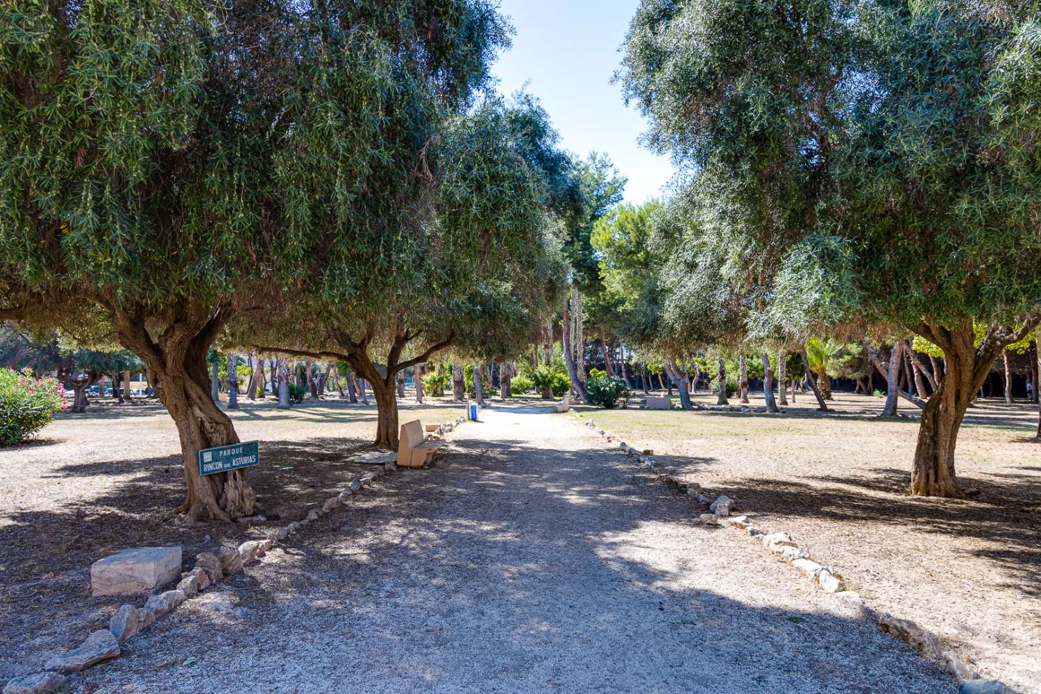 托雷维耶哈 EL ACEQUIÓN 靠近海滩的舒适一室公寓