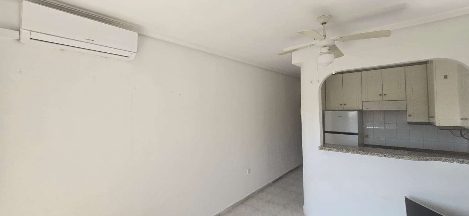 托雷维耶哈 – 迷人的一室公寓顶层公寓，设有大露台，地理位置优越，靠近拉马塔海滩