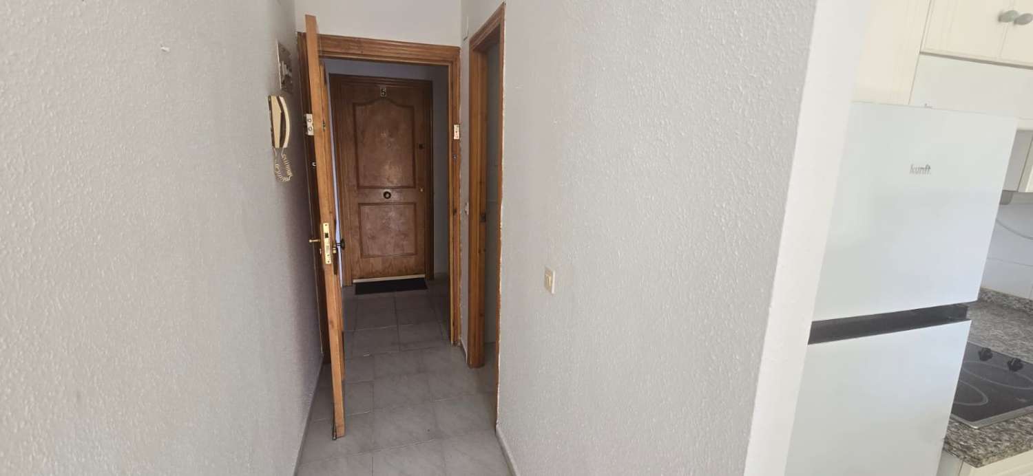 托雷维耶哈 – 迷人的一室公寓顶层公寓，设有大露台，地理位置优越，靠近拉马塔海滩