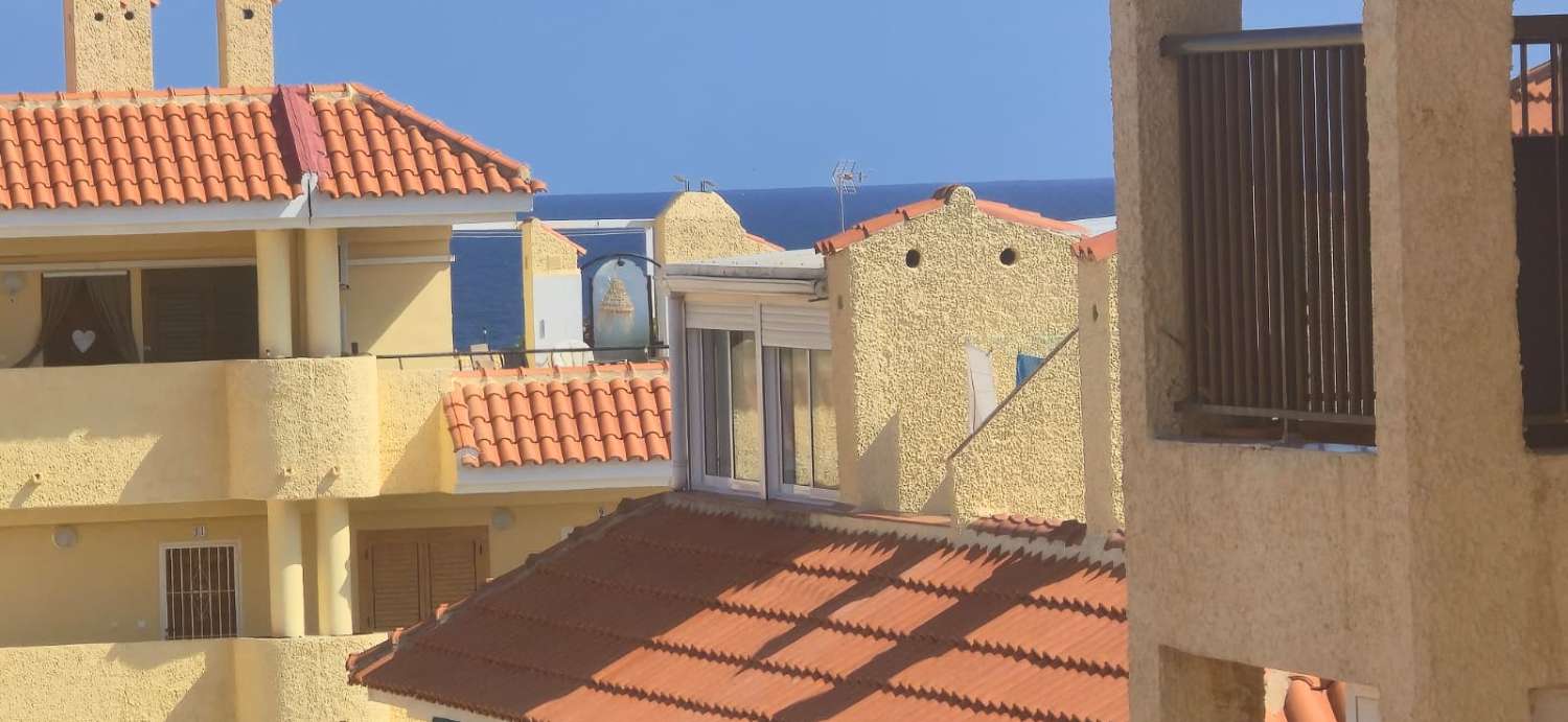 托雷维耶哈 – 迷人的一室公寓顶层公寓，设有大露台，地理位置优越，靠近拉马塔海滩