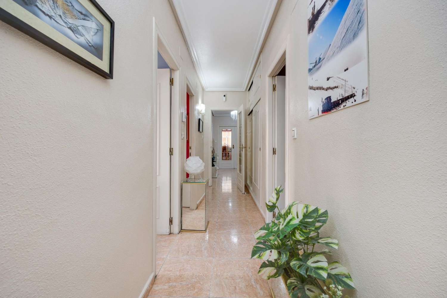 AMPLIA VIVIENDA CÉNTRICA CON SOLÁRIUM PRIVADO EN TORREVIEJA