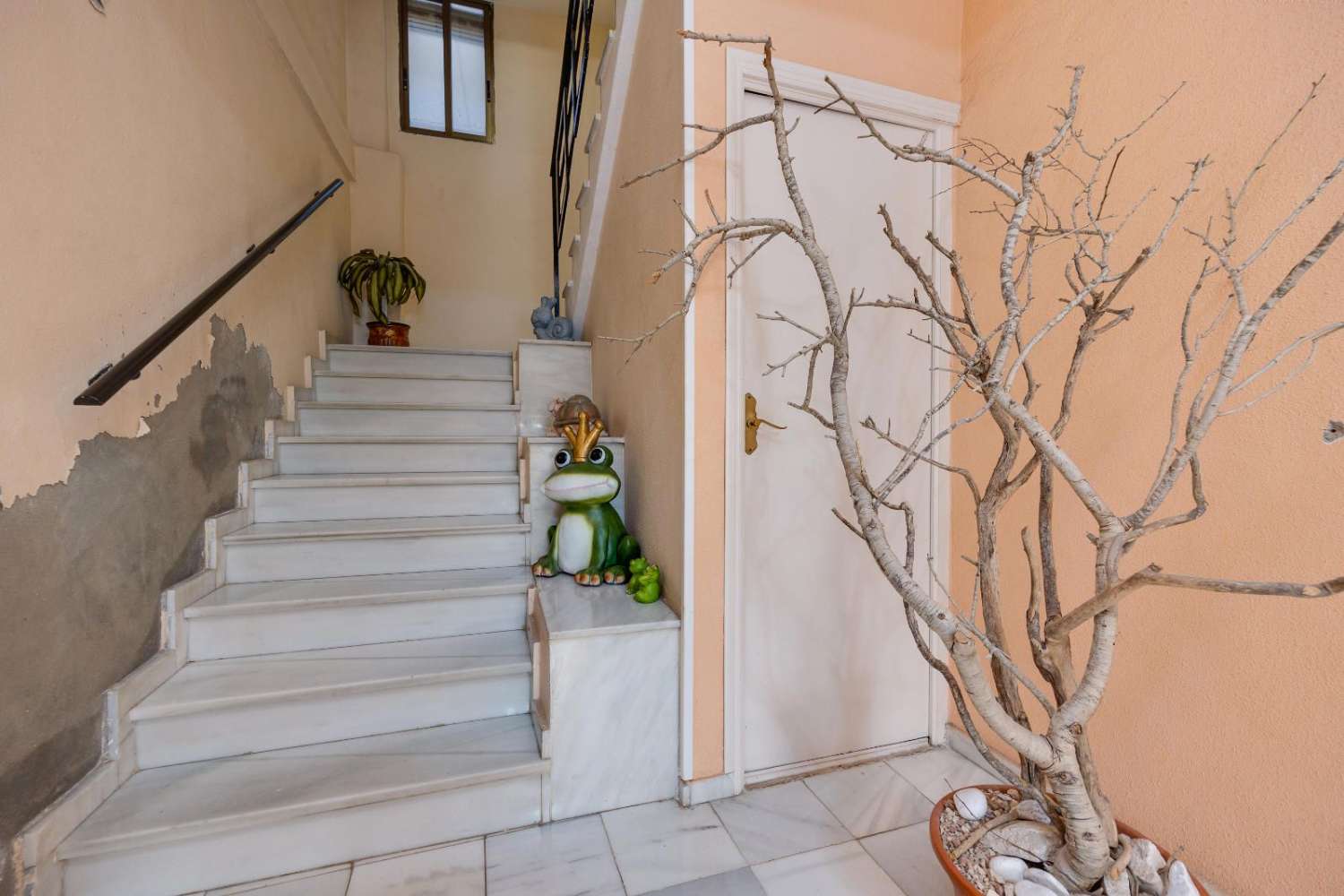 AMPLIA VIVIENDA CÉNTRICA CON SOLÁRIUM PRIVADO EN TORREVIEJA