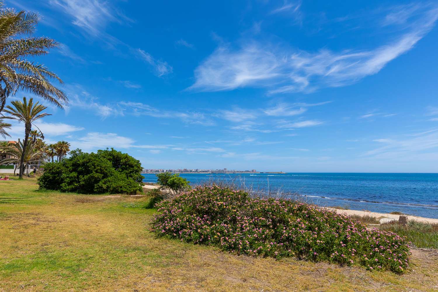 LUXUSNÍ SAMOSTATNĚ STOJÍCÍ VILA V LA VELETA – TORREVIEJA