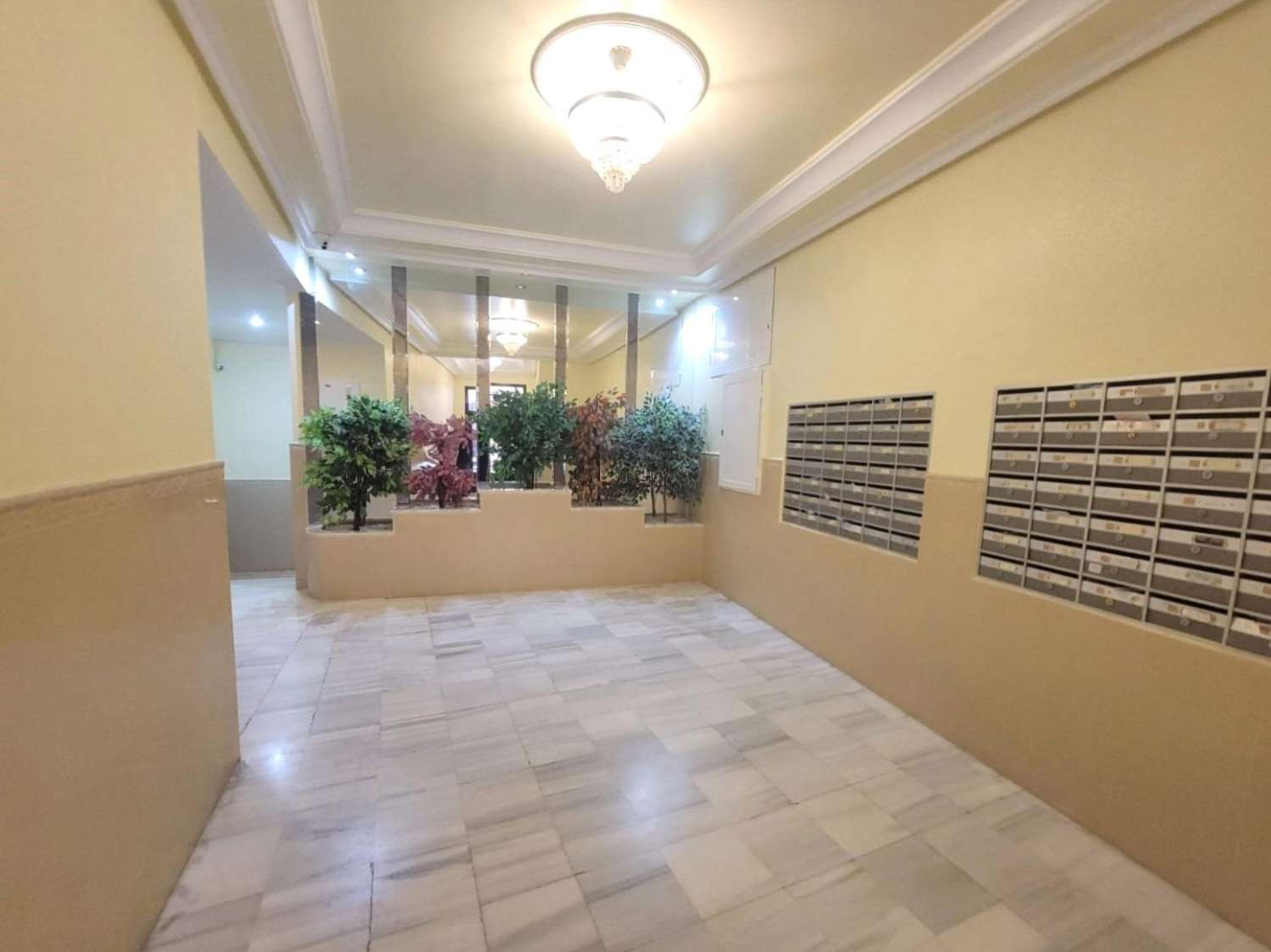 托雷维耶哈——中央公寓，距离库拉海滩500米