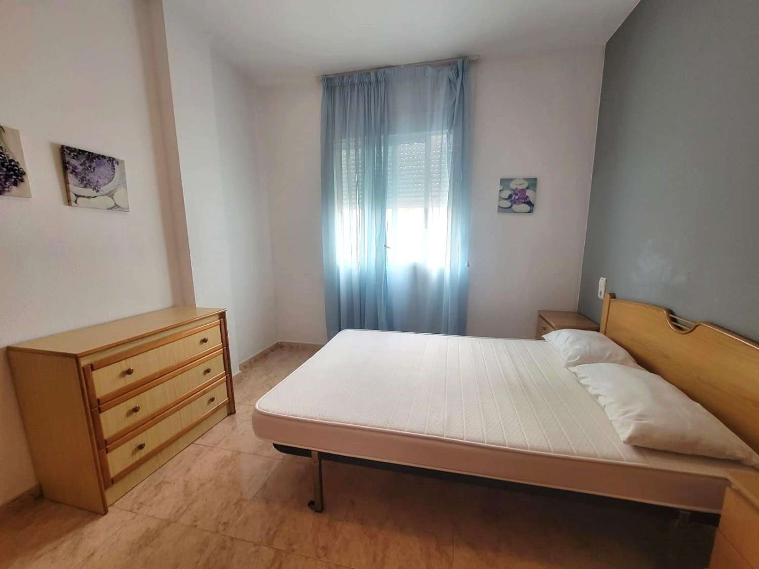 托雷维耶哈——中央公寓，距离库拉海滩500米