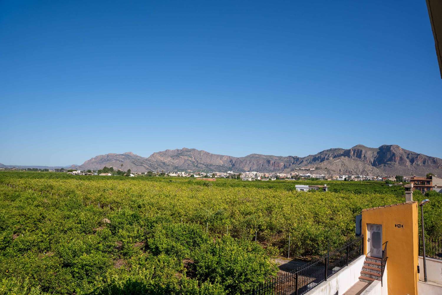 ЕКСКЛЮЗИВНА ФІНКА З ВІЛЛОЮ, БАСЕЙНОМ І ЛИМОННОЮ ПЛАНТАЦІЄЮ В КОРРЕНТІАС-МЕДІАС, ОРІУЕЛА