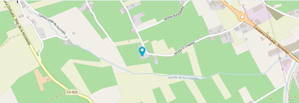 ЕКСКЛЮЗИВНА ФІНКА З ВІЛЛОЮ, БАСЕЙНОМ І ЛИМОННОЮ ПЛАНТАЦІЄЮ В КОРРЕНТІАС-МЕДІАС, ОРІУЕЛА