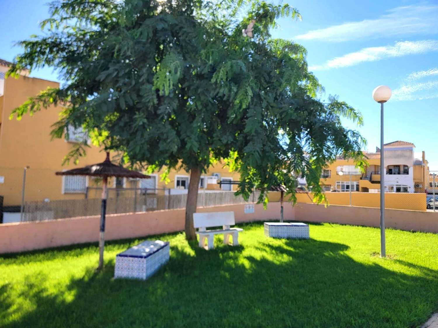 VILLA ADOSADA EN PLANTA BAJA CON GRAN JARDÍN, SOLÁRIUM Y PISCINA EN LOS MONTESINOS