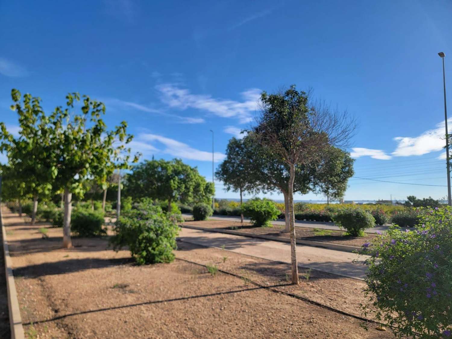 VILLA ADOSADA EN PLANTA BAJA CON GRAN JARDÍN, SOLÁRIUM Y PISCINA EN LOS MONTESINOS