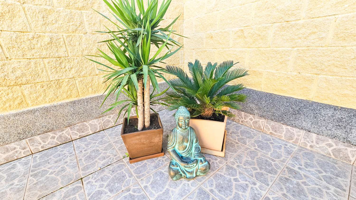 CASA TOTALMENTE REFORMADA CON PARCELA PRIVADA Y OPCIÓN DE PISCINA CERCA DE TORREVIEJA