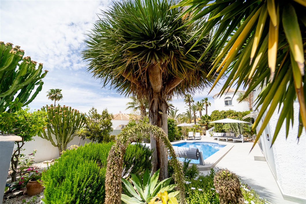 EKSKLUSIV RENOVERT VILLA MED BASSENG OG UTSIKT I LA SIESTA, TORREVIEJA