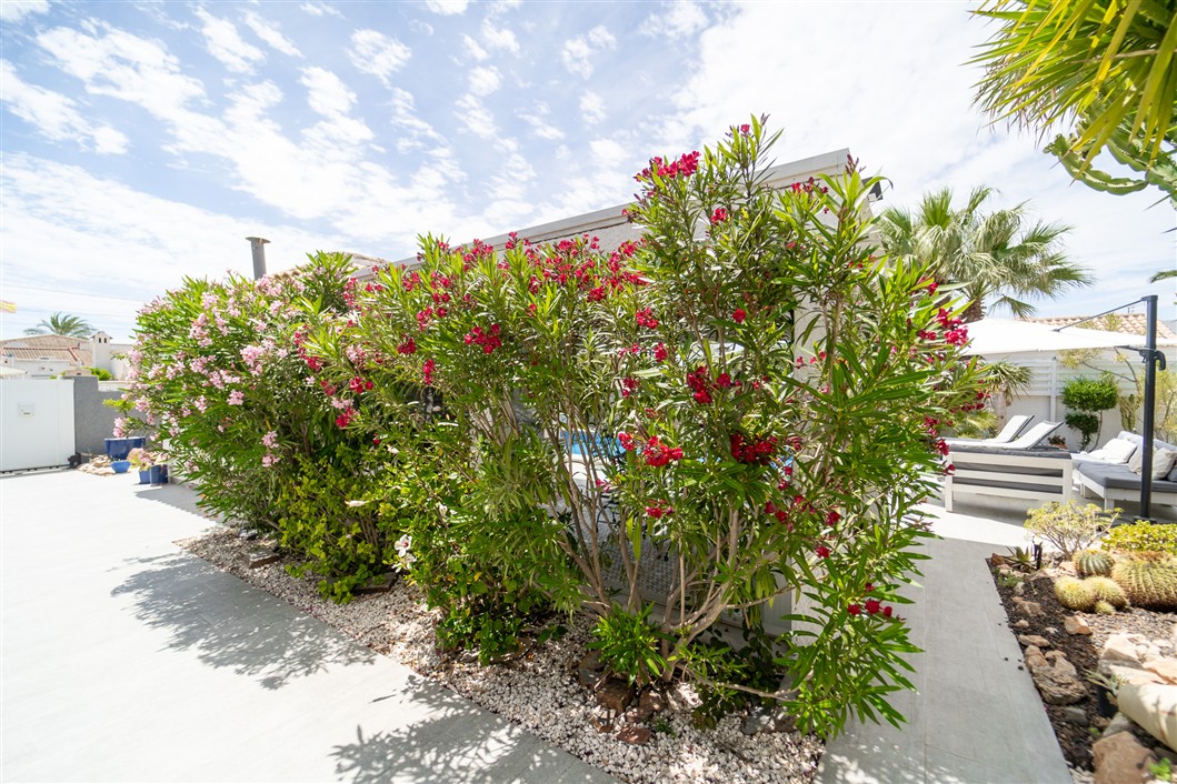 EKSKLUSIV RENOVERT VILLA MED BASSENG OG UTSIKT I LA SIESTA, TORREVIEJA