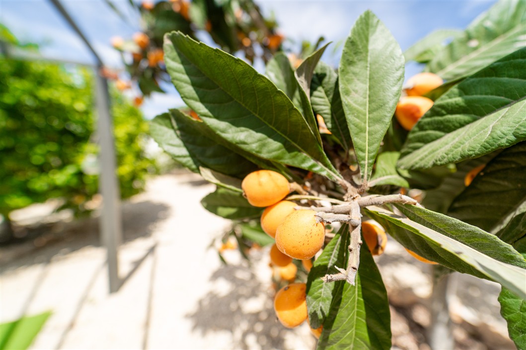 EKSKLUSIV RENOVERT VILLA MED BASSENG OG UTSIKT I LA SIESTA, TORREVIEJA