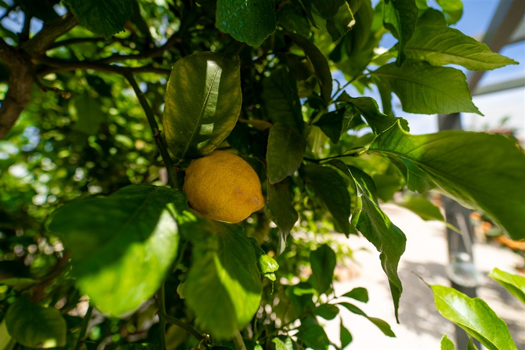 EKSKLUSIV RENOVERT VILLA MED BASSENG OG UTSIKT I LA SIESTA, TORREVIEJA