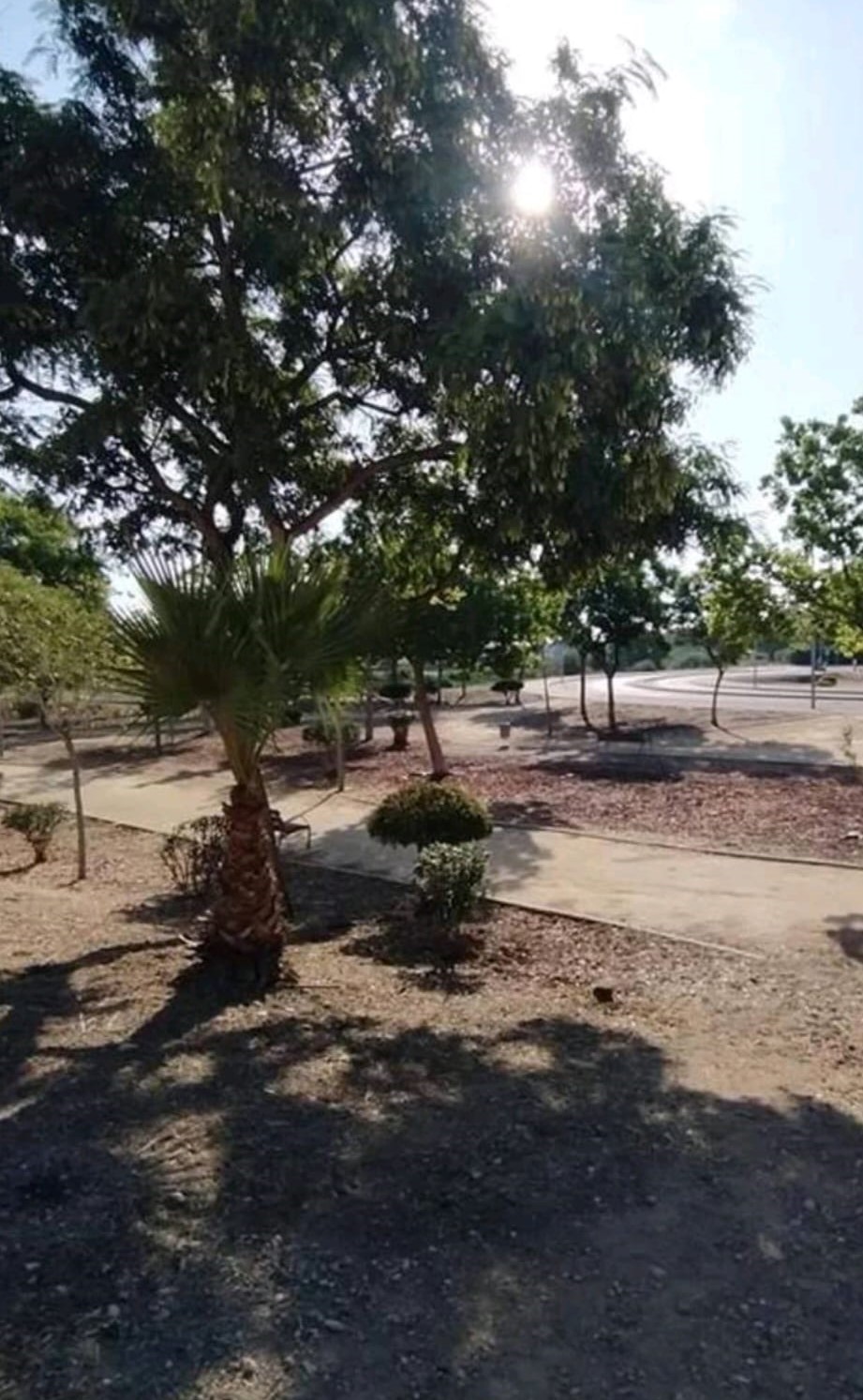 BYT V PŘÍZEMÍ SE ZAHRADOU A BAZÉNEM V LOMAS DE CABO ROIG