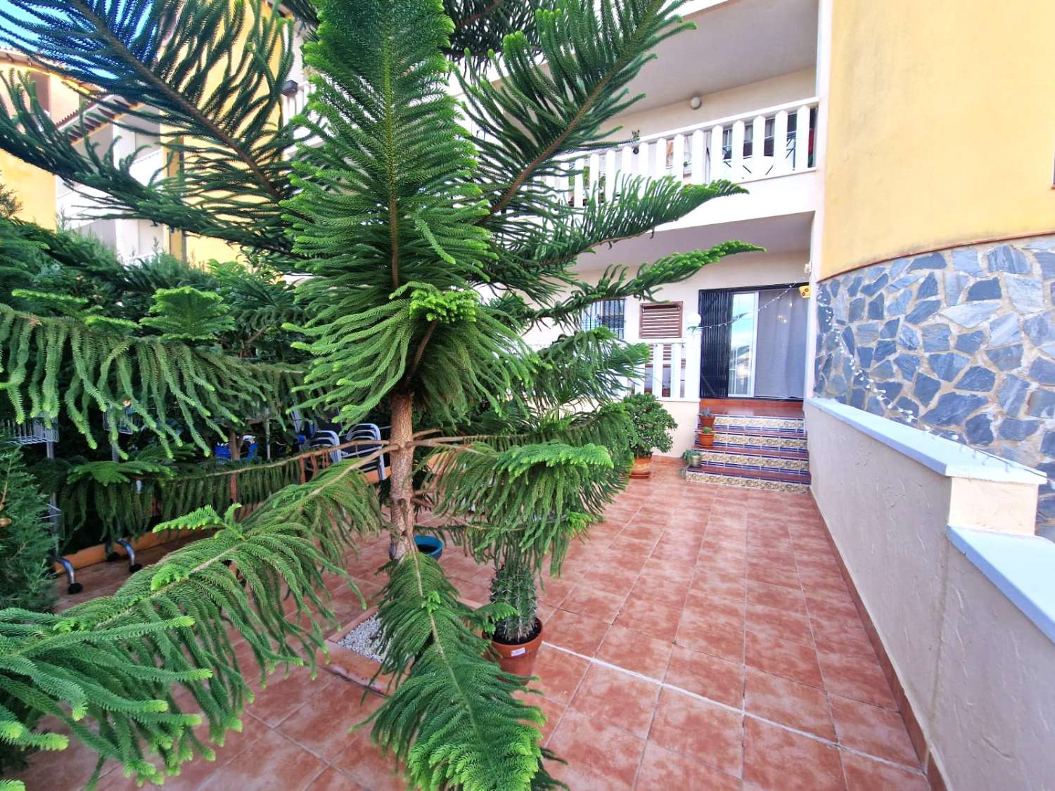 BYT V PŘÍZEMÍ SE ZAHRADOU A BAZÉNEM V LOMAS DE CABO ROIG