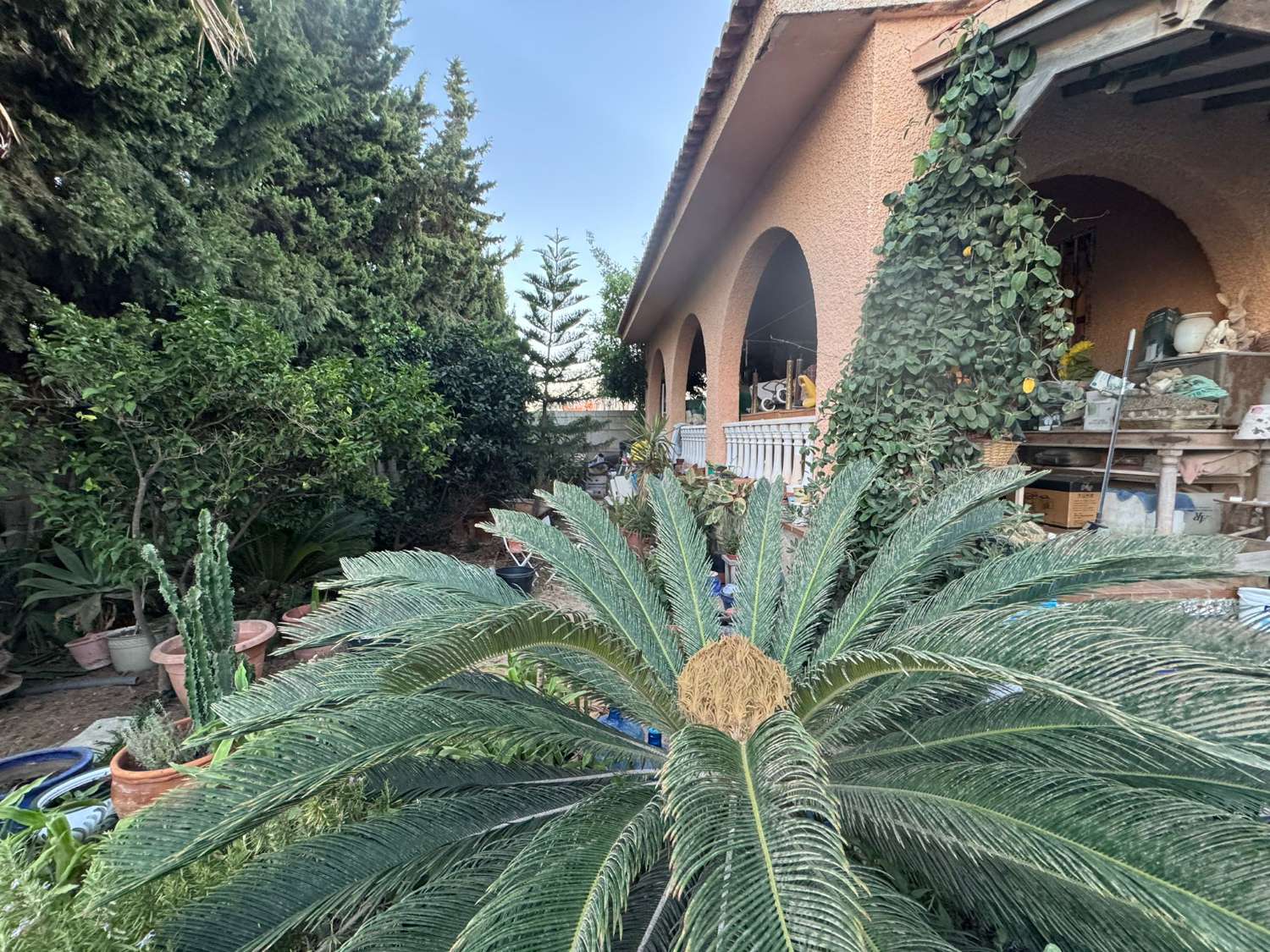 独立别墅，带泳池，潜力巨大，距海200米