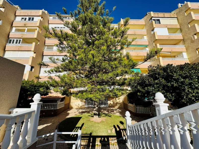 ÁTICO DÚPLEX DE LUJO CON VISTAS FRONTALES EN LA MATA