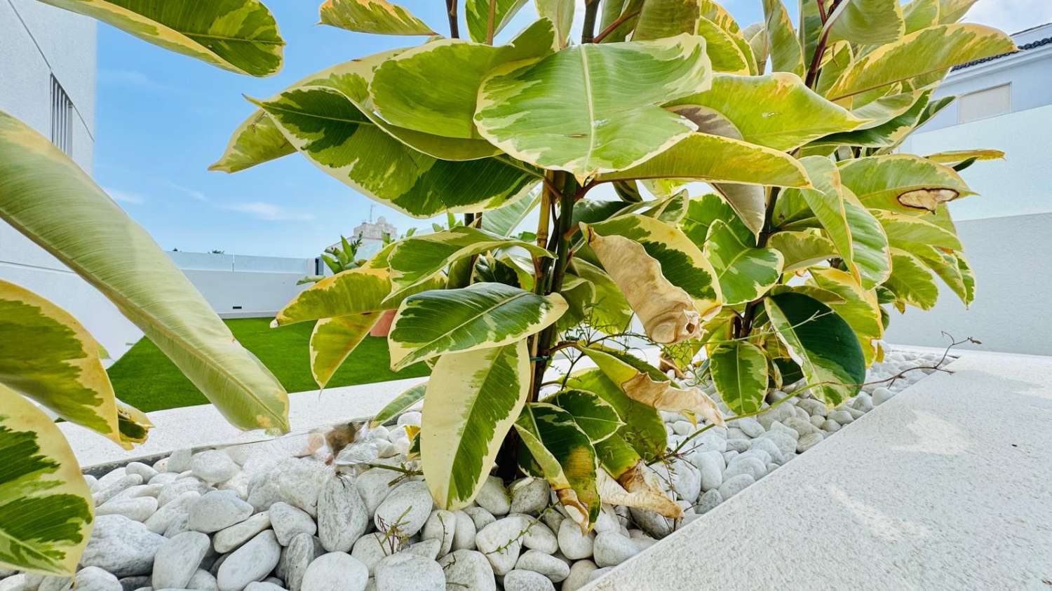 EXCLUSIVO ADOSADO EN ESQUINA REFORMADO A 200M DEL MAR EN LA VELETA – JARDÍN PRIVADO, 3 DORMITORIOS Y GARAJE