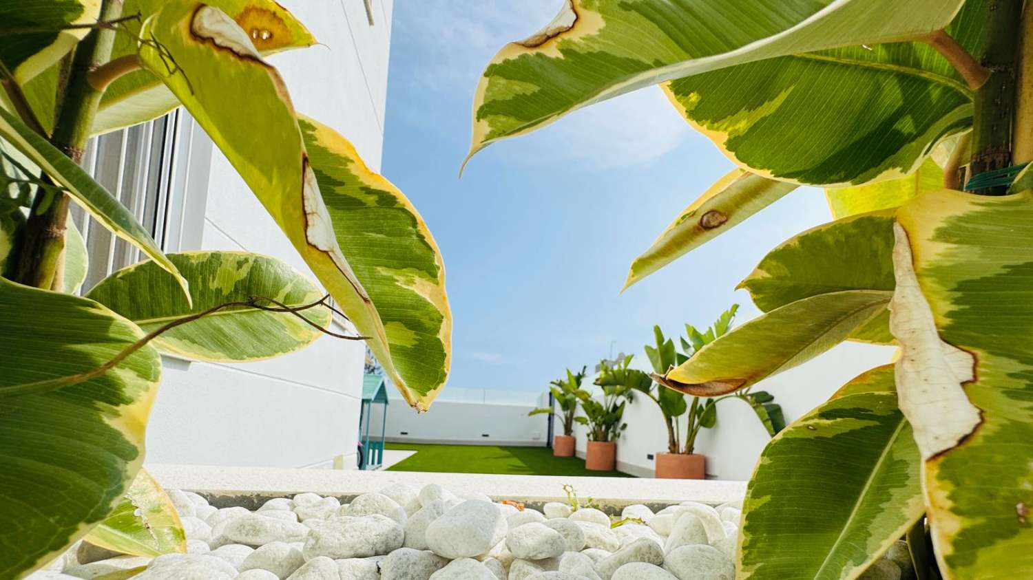 EXCLUSIVO ADOSADO EN ESQUINA REFORMADO A 200M DEL MAR EN LA VELETA – JARDÍN PRIVADO, 3 DORMITORIOS Y GARAJE