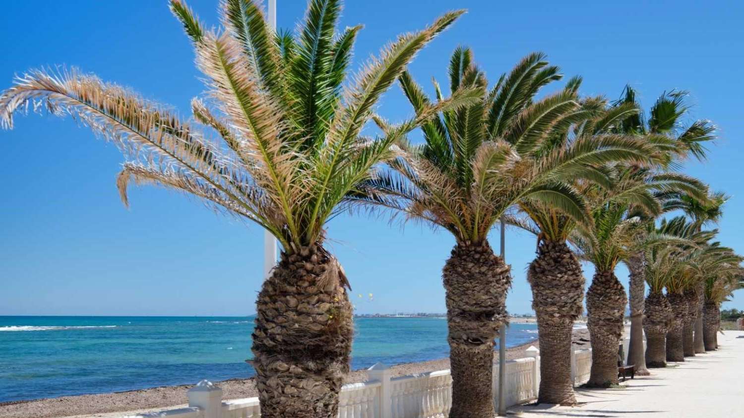 ESPECTACULAR ADOSADO EN TORRE DE LA HORADADA, A 10 MINUTOS DE LA PLAYA, ORIENTACIÓN SUR Y TERRAZA PANORÁMICA