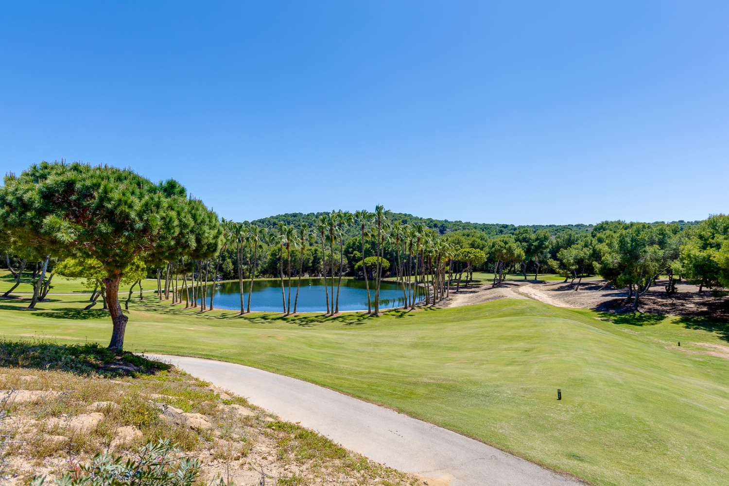 EXCLUSIVA VILLA MEDITERRÁNEA CON PARCELA DE 1.250 M², PISCINA PRIVADA Y APARTAMENTO INDEPENDIENTE EN SAN MIGUEL DE SALINAS