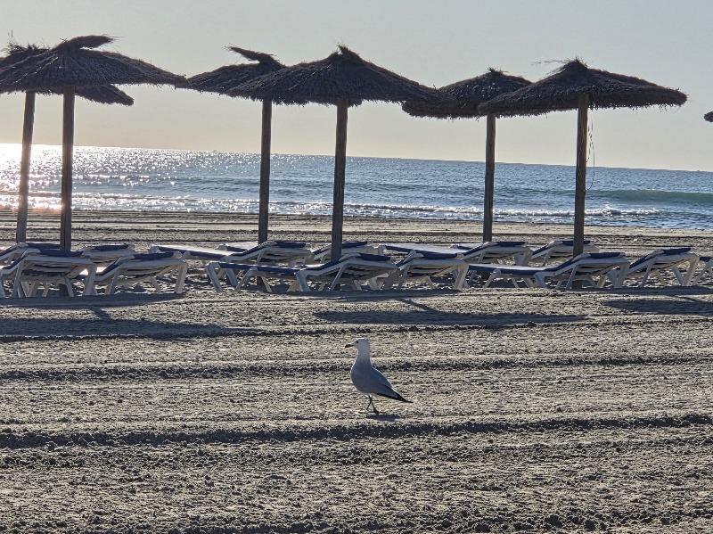 EXCLUSIVA VILLA MODERNA TOTALMENTE REFORMADA CON PISCINA PRIVADA EN CABO ROIG A 600 METROS DE LA PLAYA