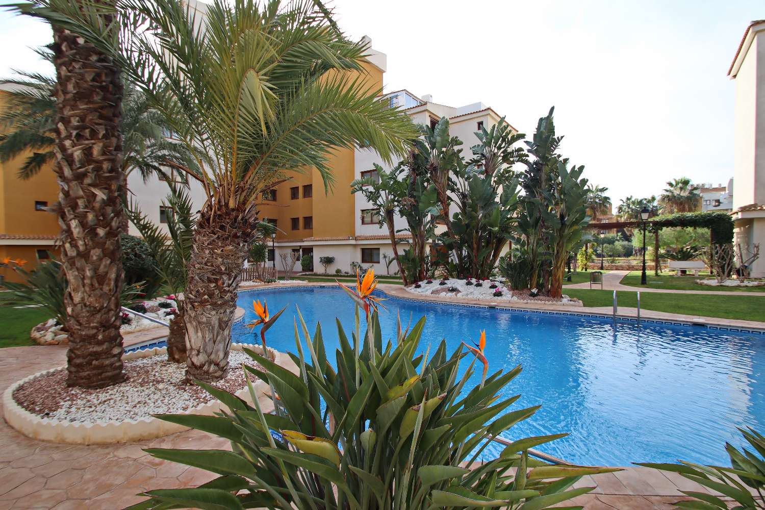 APARTAMENTO DE LUJO DE 2 DORMITORIOS CON ORIENTACIÓN SUR, TERRAZA Y GARAJE EN LA ENTRADA, PUNTA PRIMA